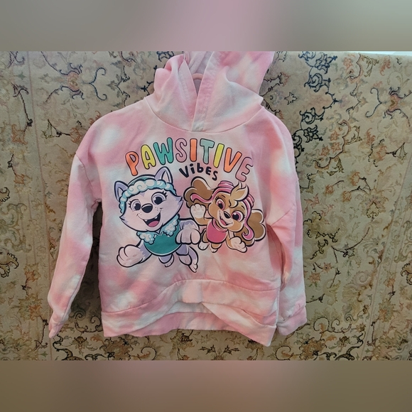 Nickelodeon Other - Paw Patrol Hoodie Sweater